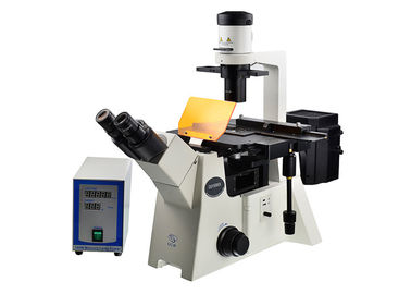 الصين DSY5000X مجهر بصري مقلوب B / G / V / UV فلتر تستقيم المجهر المقلوب المزود